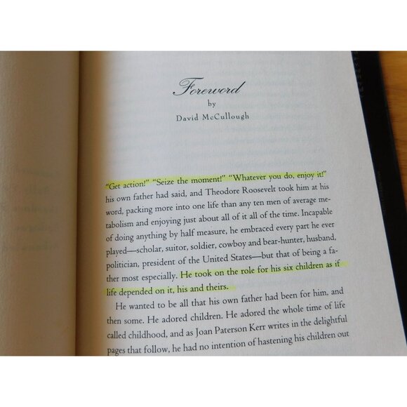 A Bully Father Theodore Roosevelts Letters To His Children By Joan Kerr HBDJ - Picture 10 of 10